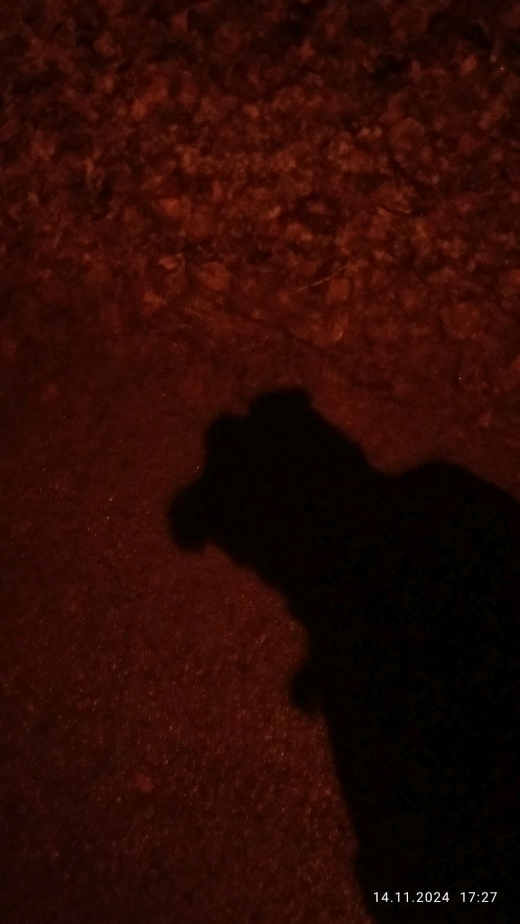 Анекдоты