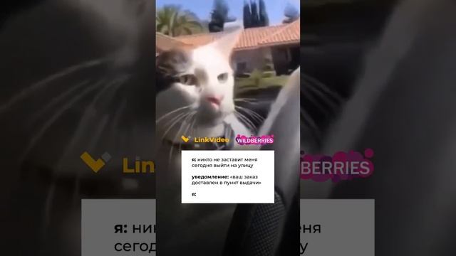 Комплекты видеонаблюдения LinkVideo снова на WildBerries