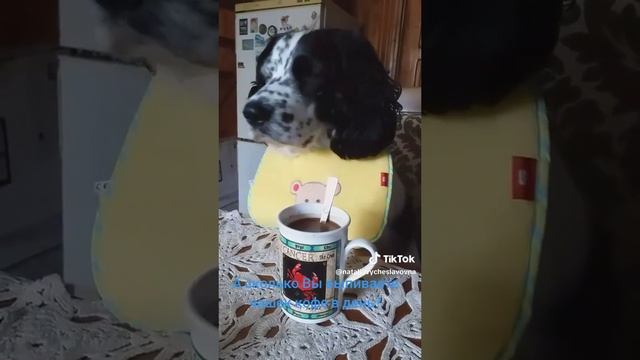 Сколько чашек кофе Вы выпиваете в день?...)))