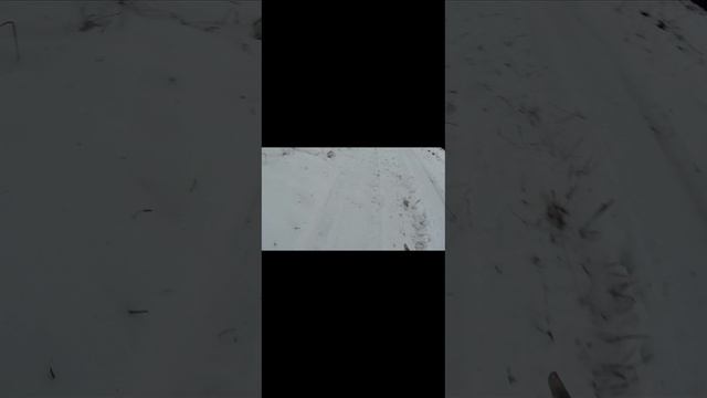 с рыбалки