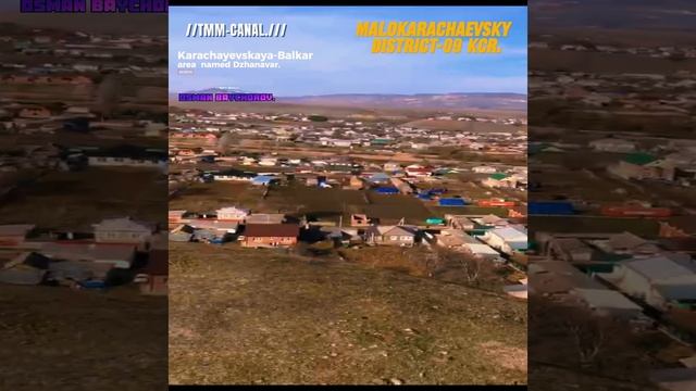 Малокарачаевкий район Карачаевская лошадь по кличке (Джанавар.)
