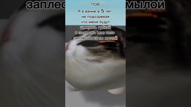 НЕ НУ РИЛ