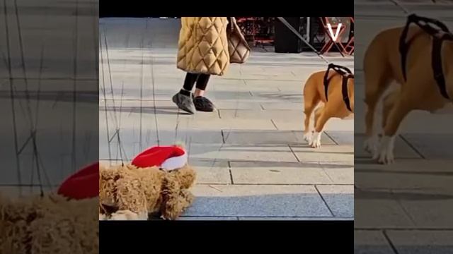 Не поняла!