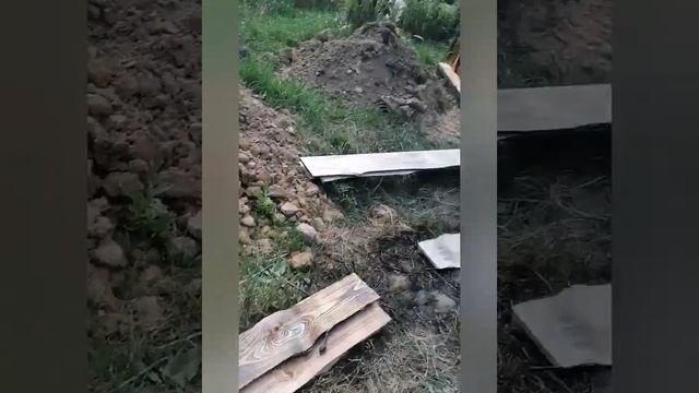 Наконец-то появился туалет на нашем пустом участке 29 августа 2024 г.