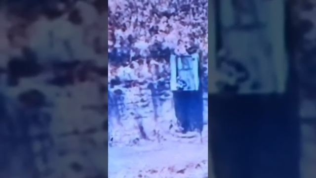Всемогущие обнаружили робота