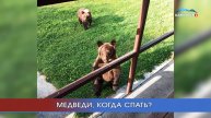 «МЧС. Экстренный вызов»