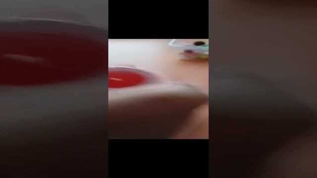 как проходит день моей лапки