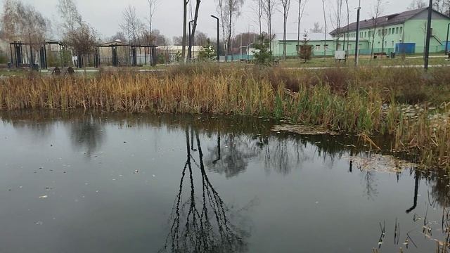 Парк Дубрава Ногинск, осенний парк