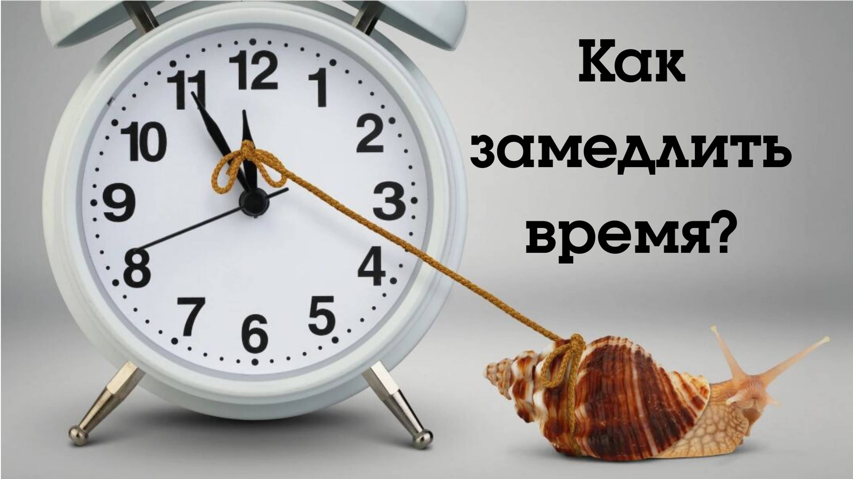 Как замедлить время течения жизни?
