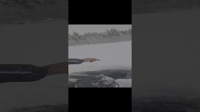 1000006044.mp4