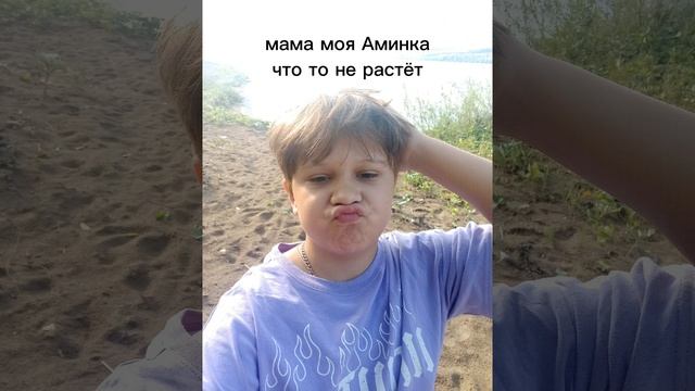#мем #chinchilla #животные #актив