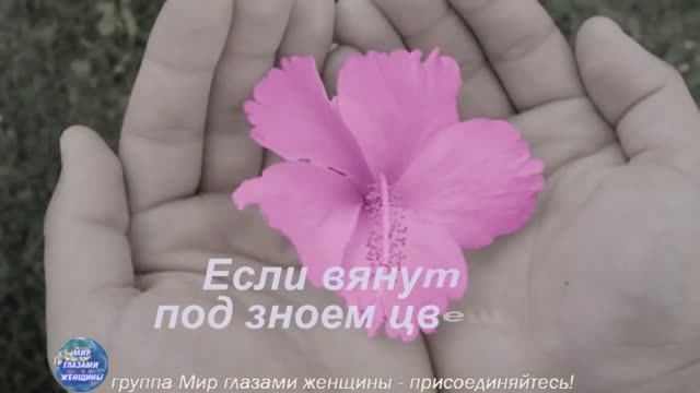 Никогда никого не вини! Отличная песня!