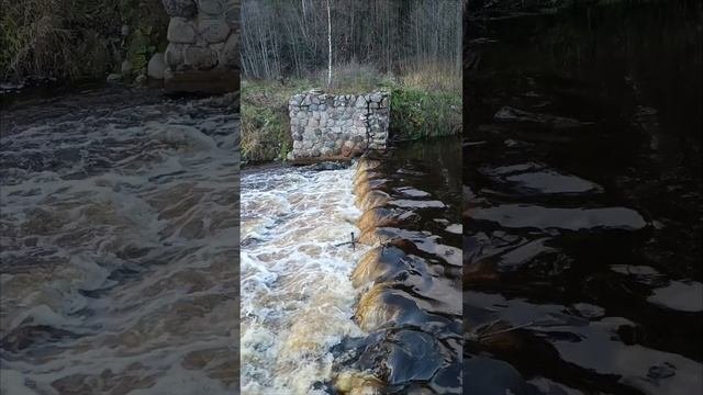 река