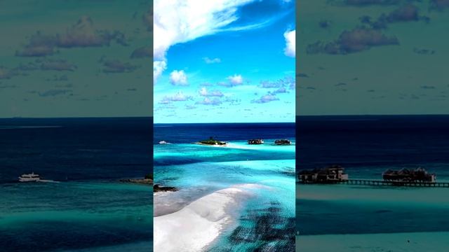 Камера и моменты жизни
