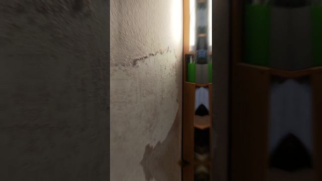 Два дня выходных!!! Два дня борьбы с жидкими обоями Silk Plaster!!!