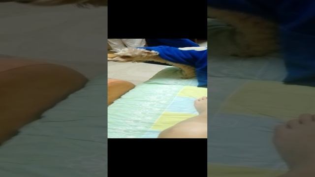 бегает в кофточке Ева пасик