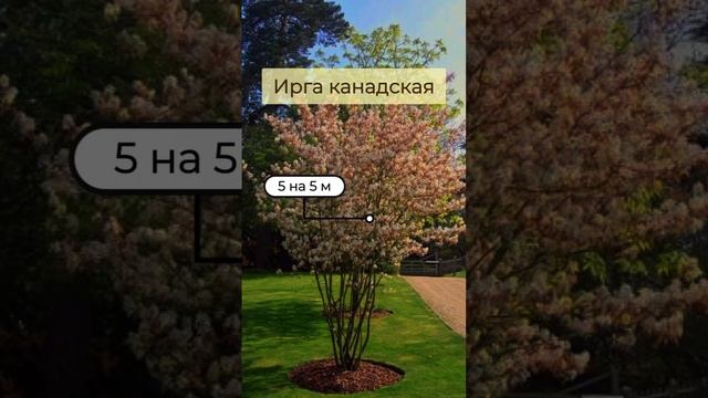 Приготовьтесь скринить полезную информацию!