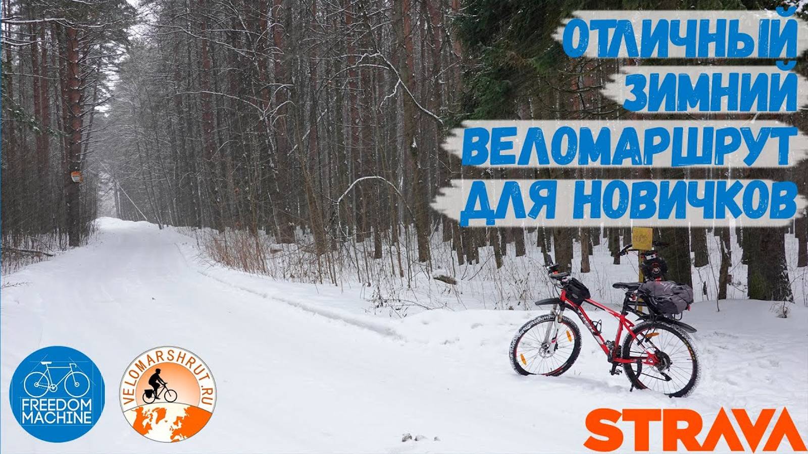 Зимний велосипедный маршрут на Цернское озеро от Веломаршрут.ру