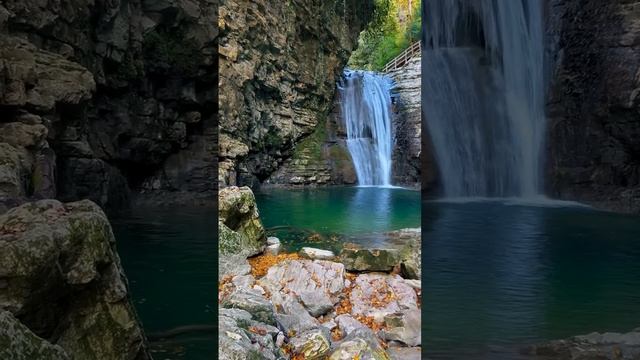 Важно не столько окружать себя красивым, сколько уметь видеть красоту, она повсюду...