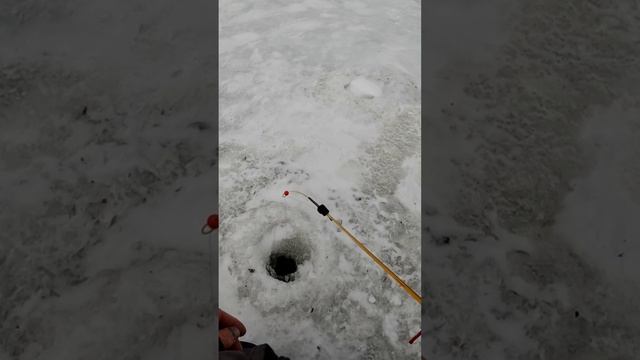 Опять по зубам