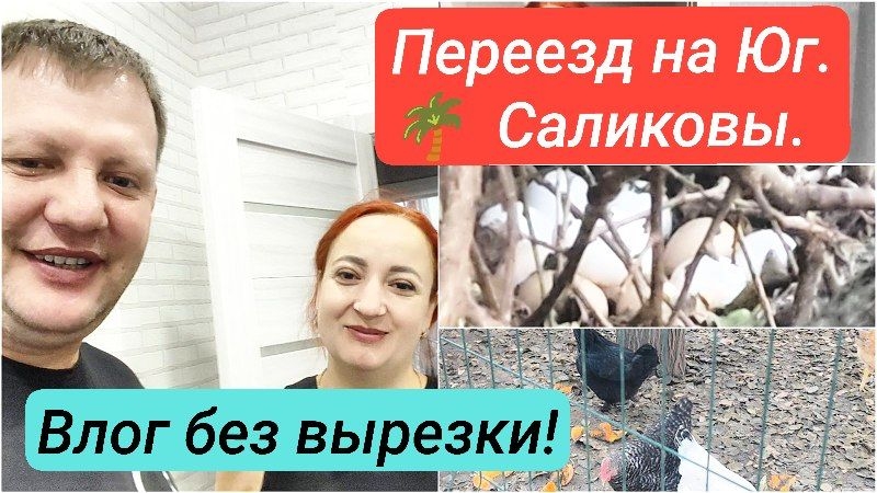 🌴 Утренний влог без вырезки .Живём на Кубани. Иркутск-Новоминская.