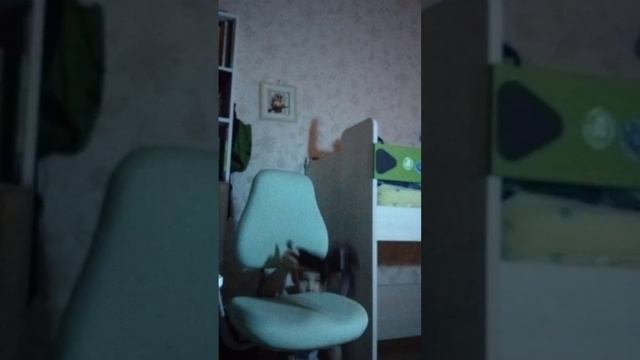 Кастинг собаки Стаси