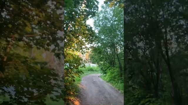 Самарская область