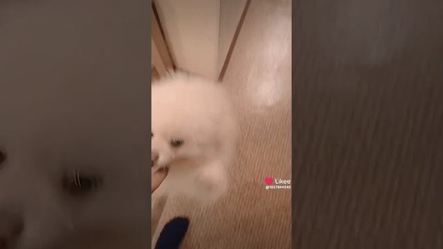 1000012751.mp4