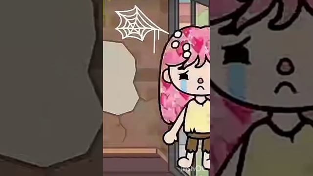 InShot_20241121_095453444.mp4