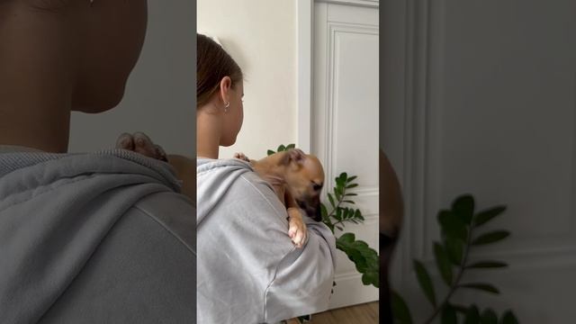 Малыш Оби Ван.mp4.mov