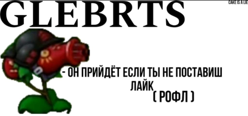 создаем сервер