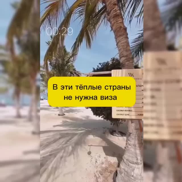 В ЭТИ ТЁПЛЫЕ СТРАНЫ НЕ НУЖНА ВИЗА