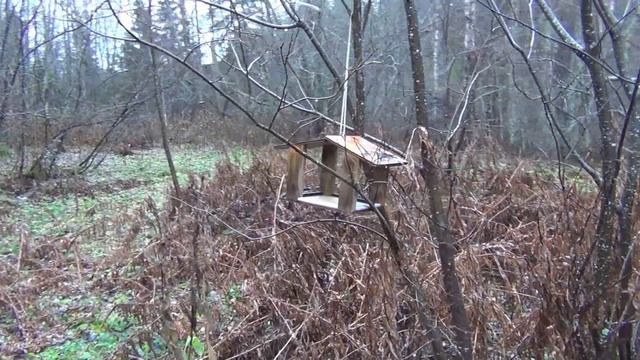 Карелия в октябре. Водопад Кивач