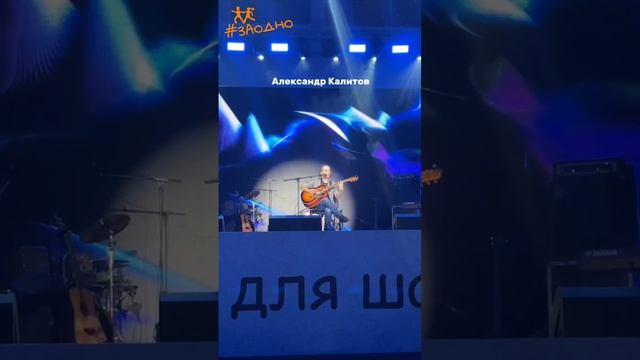 Заодно 24