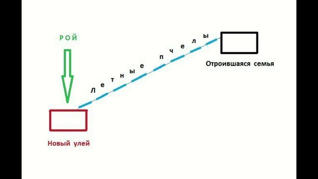 И пчелы роиться не будут