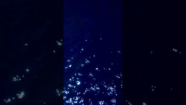 Прекрасные моменты дня