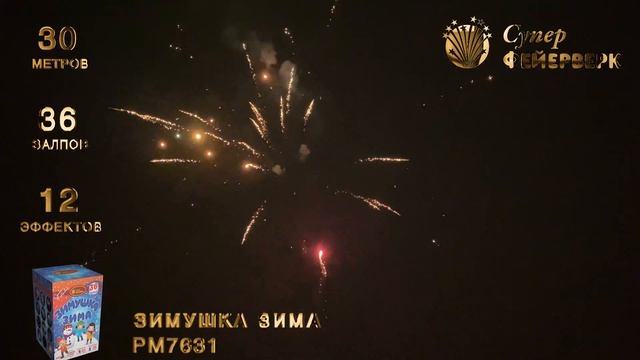 РМ7631 Зимушка зима