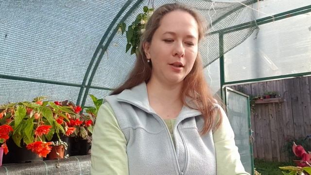 Укореняем срезы, полученные почтой