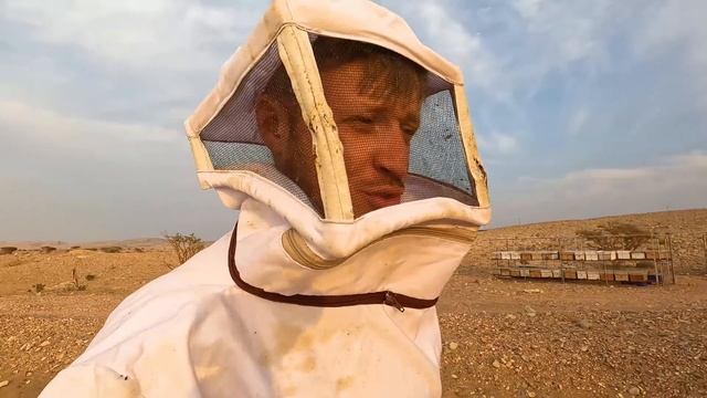 #12  САМОЕ ЖАРКОЕ ПУТЕШЕСТВИЕ   ОМАН С ВЫСОТЫ    РЫНОК ТРАВЫ  ПЧЕЛИНАЯ ФЕРМА