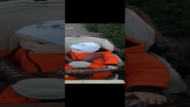 Видеоархив