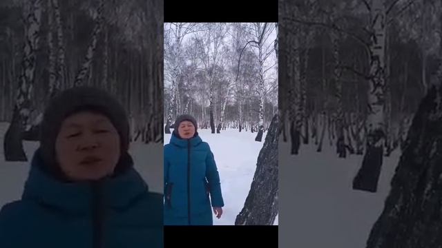 Ҡышҡы сейә