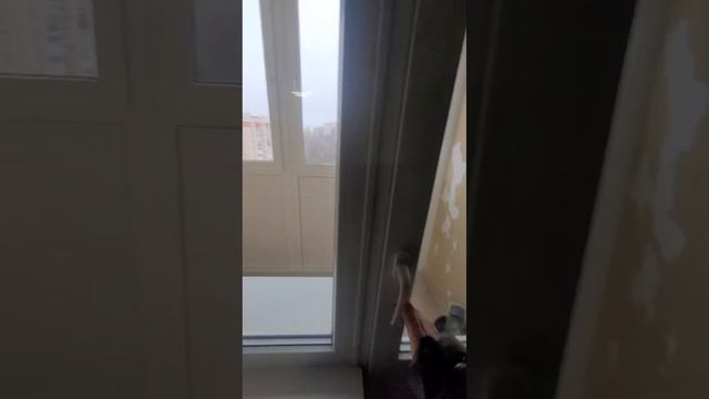 2-ух комнатная квартира, 63 кв.м
8-ми этажный, новый дом