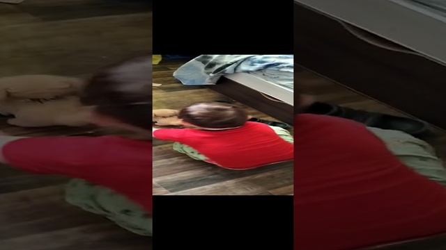 Видеоархив