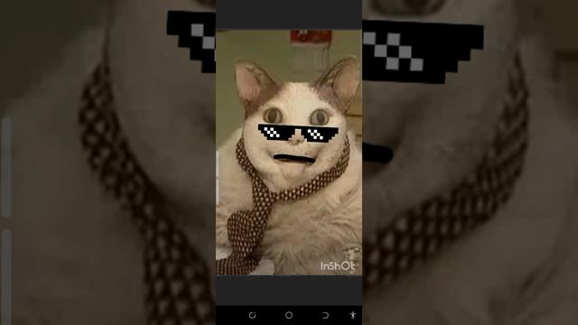 Бу! испугался?