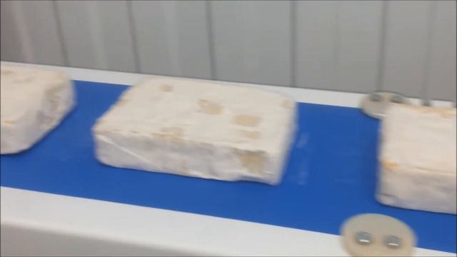 Сырорезка с лазерным сканированием.