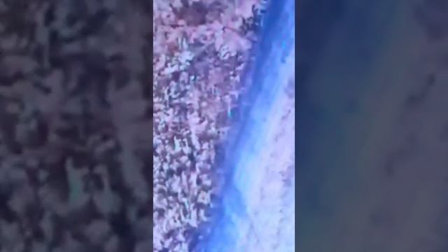 ВСЕМОГУЩИЕ обнаружили робота