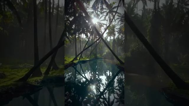 Увайс  аль-Карани 
великий аскет, господин табиинов, пример для подражания.