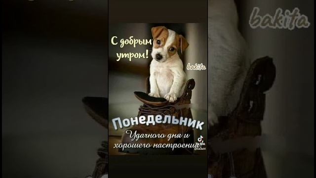 1000035920.mp4 сад и огород