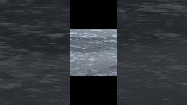 1000105710.mp4