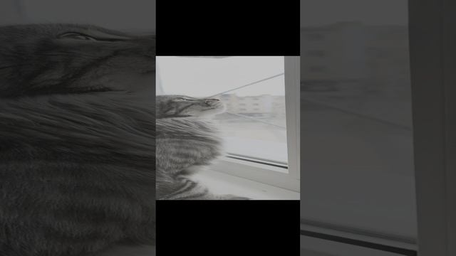 Лилит
